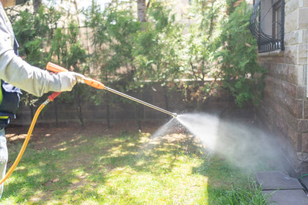 Best Bee and Wasp Removal  in Avoca, PA